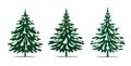 A set of green Christmas Trees. Winter season design elements. Isolated vector xmas Icons