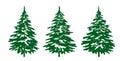 A set of green Christmas Trees. Winter season design elements. Isolated vector xmas Icons Royalty Free Stock Photo