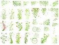 Set of green floral design elements Royalty Free Stock Photo