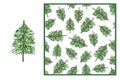 Set - Green fluffy Christmas tree on a white background and seamless watercolor pattern. Hand drawing. For packaging Royalty Free Stock Photo