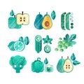 Set of green fruits and vegetables with gradients and texture. Healthy eating. Organic food. Abstract flat vector design