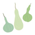 Set with green gourds or squashes cartoon. Royalty Free Stock Photo