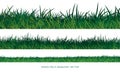 Set of green grass border seamless on white background vector Royalty Free Stock Photo