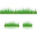 Set Green Grass Borders, Vector Illustration. Abstract field texture. Symbol of summer, plant, eco and natural, growth or fresh. D Royalty Free Stock Photo