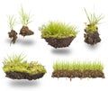 Set green grass Royalty Free Stock Photo