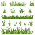 Set of green Grass isolated on white background. Grass heights design elements of nature. Lawn vector