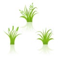 Set green grass isolated on white background Royalty Free Stock Photo