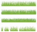 Set of green grass isolated on white background Royalty Free Stock Photo