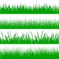 Set green grass on white background - vector