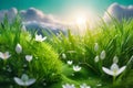 Set of green grass and white flower. Sunlight. Set of vectors. Background. Wallpaper.