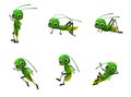 Set of Green grasshopper. Wildlife object. Little funny insect. Cute cartoon style. Isolated on white background. Vector Royalty Free Stock Photo