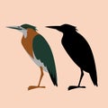 Set green heron, vector illustration, flat style, Royalty Free Stock Photo