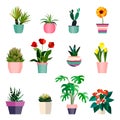 Set of green house plants in pots. Leaf and flowers. Flowerpot isolated objects, houseplant collection illustration
