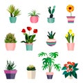 Set of green house plants in pots. Leaf and flowers. Flowerpot isolated objects