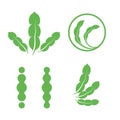 Set of green isolated leaves logos. Plant elements logotype collection. Natural products sign. Leaf symbol. Healing