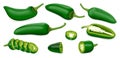 Set of Green Jalapeno chili peppers. Royalty Free Stock Photo