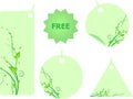 Set of green labels with swirl leaves Royalty Free Stock Photo