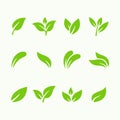 Set of green leaf icon vector illustration Royalty Free Stock Photo