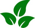 Set of green leaf icons. Eco, bio, natural, vegan icon. Vector illustration. Royalty Free Stock Photo