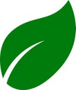 Set of green leaf icons. Eco, bio, natural, vegan icon. Vector illustration. Royalty Free Stock Photo