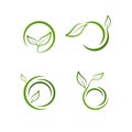 Set of green leaf logos, icons vector design elements, bio, eco Royalty Free Stock Photo