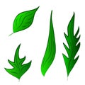 Set of green leafs vector illustration Royalty Free Stock Photo