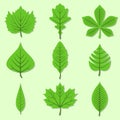 Set of green leaves design elements Royalty Free Stock Photo