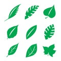 Set of green leaves design elements. This image is a vector illustration. Royalty Free Stock Photo