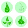 Set of green leaves design elements. This image is a vector illustration.Leaves icon Royalty Free Stock Photo