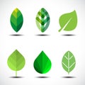 Set of green leaves design elements Royalty Free Stock Photo