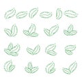 Set of green leaves design elements. Green sprout green leaves symbol icon set Royalty Free Stock Photo