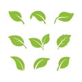 set of green leaves element vector icon. green leaf vector symbol illustration