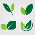 Set green leaves Icon,natural label on white background.Vector illustration Royalty Free Stock Photo