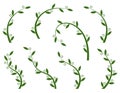 Set of green olive branches