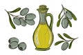 set of green olives branch and leaves, bottles of olive oil, freehand vector illustration