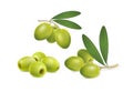 Set of green olives on white background