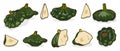 Set of Green Patty Pan squash. Cartoon style.