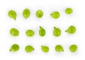 Set of green pea peas on a white background Royalty Free Stock Photo