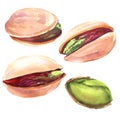 Set of green pistachio nuts with shel, peeled and unpeeled pistachios isolated, hand drawn watercolor illustration on Royalty Free Stock Photo