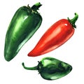 Set of green, red hot chili peppers, Jalapeno pepper, isolated, hand drawn watercolor illustration on white