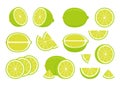 Set of green ripe lime - whole, cut half, piece and slice chopped of lemon. Fresh sour citrus fruit with vitamins Royalty Free Stock Photo