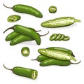 Set of green serrano Chile peppers. Cartoon style. Royalty Free Stock Photo