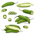Set of green serrano Chile peppers. Royalty Free Stock Photo