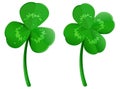 Set green shamrock clover leaf with dew drops. Lucky four leaf symbol of St. Patrick Day Royalty Free Stock Photo