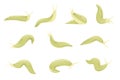 Set of green slug cartoon animal design flat vector illustration isolated on white background