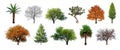 Set of green trees isolated on white background Royalty Free Stock Photo