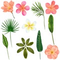 Set of green tropical leaves and bright exotic flowers, tropical floral clipart