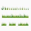 Set of green tufts grass, herbaceous plants. Design elements isolated on white backgroun Royalty Free Stock Photo