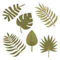 Set of green twigs and leaves of an exotic tropical plant. Hand drawn vector illustration. Isolated element on a white Royalty Free Stock Photo