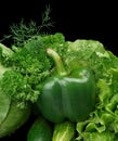 Set of green vegetables-lettuce,bell pepper,dill on black at the bottom